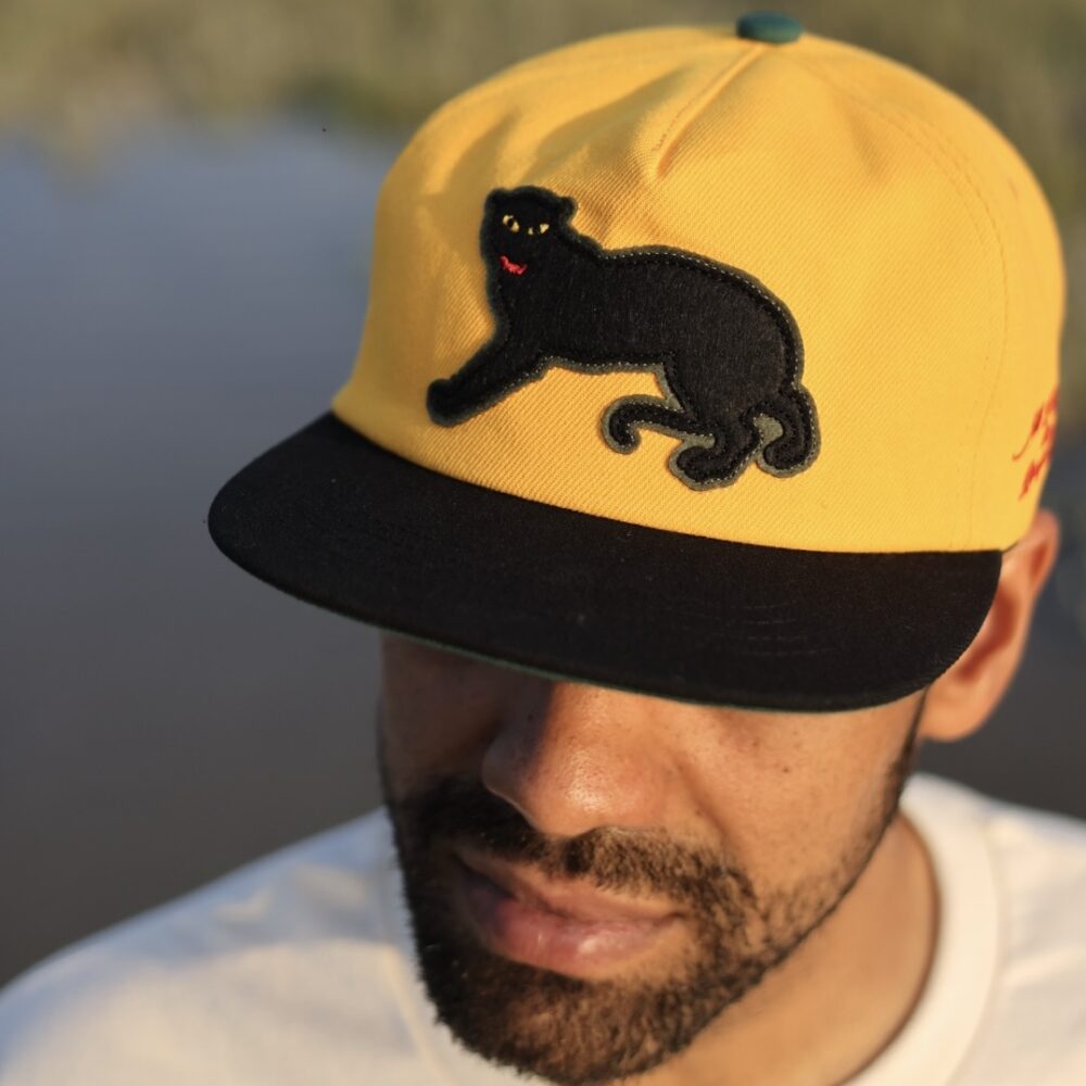 “Cats And Dogs” Cap Collection