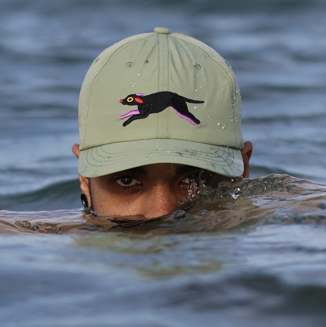 “Cats And Dogs” Cap Collection