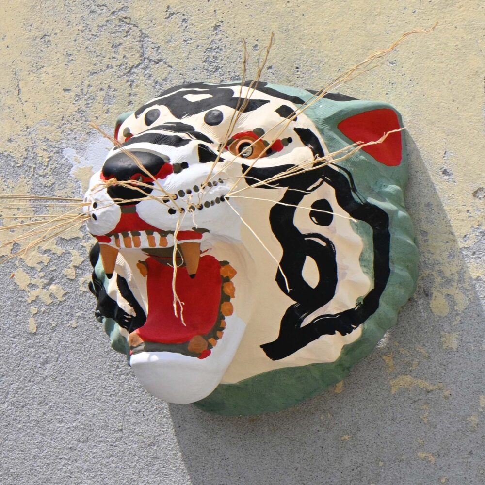 The Green Tiger Mask